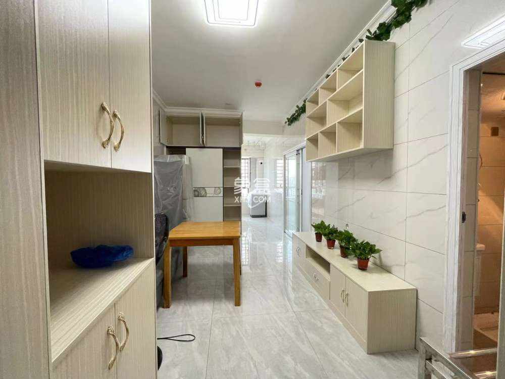 百弘学府城  1室1厅1卫    38.8万室内图