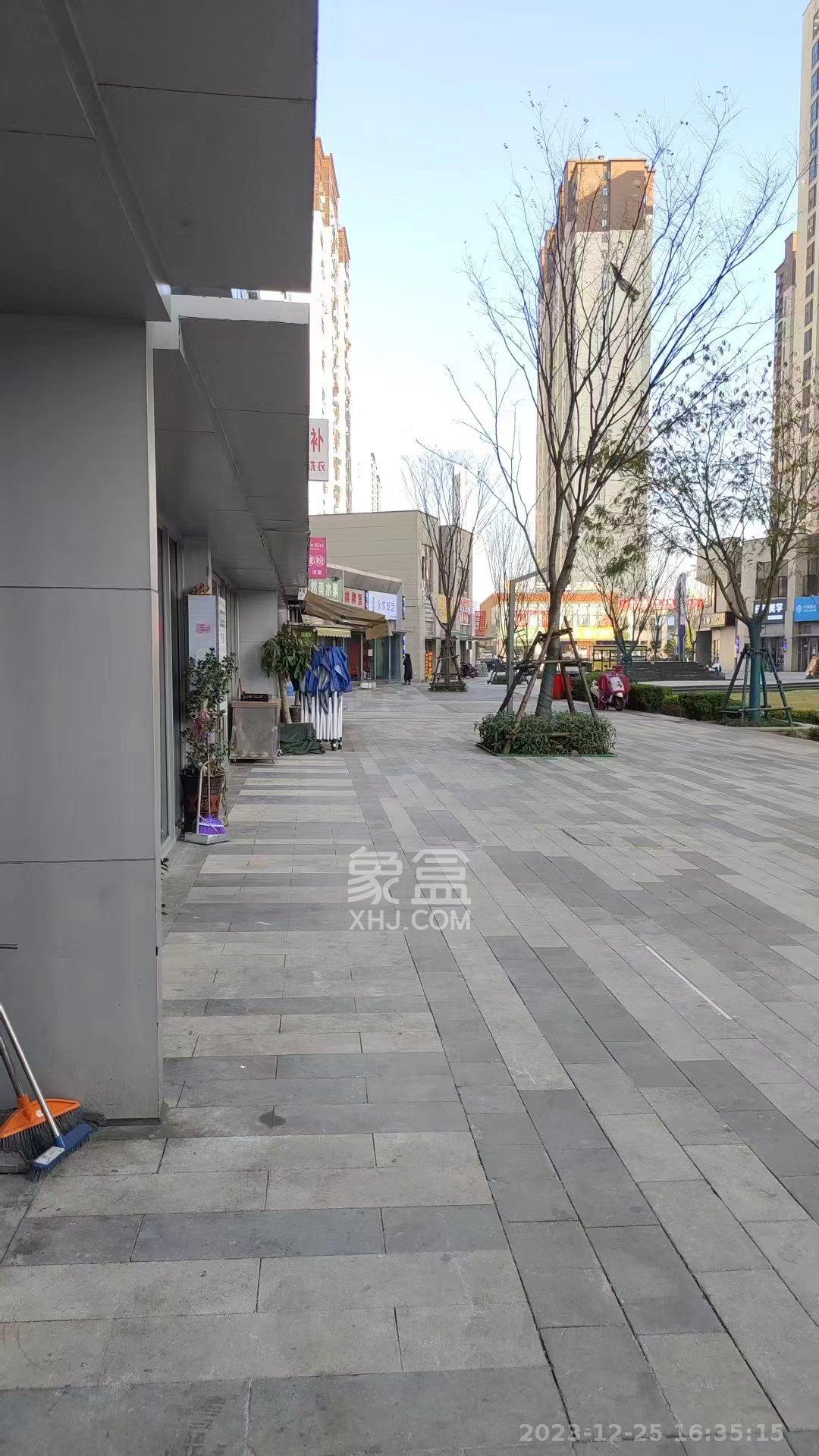 碧桂园星荟   50.0㎡      3800.0元/月室内图