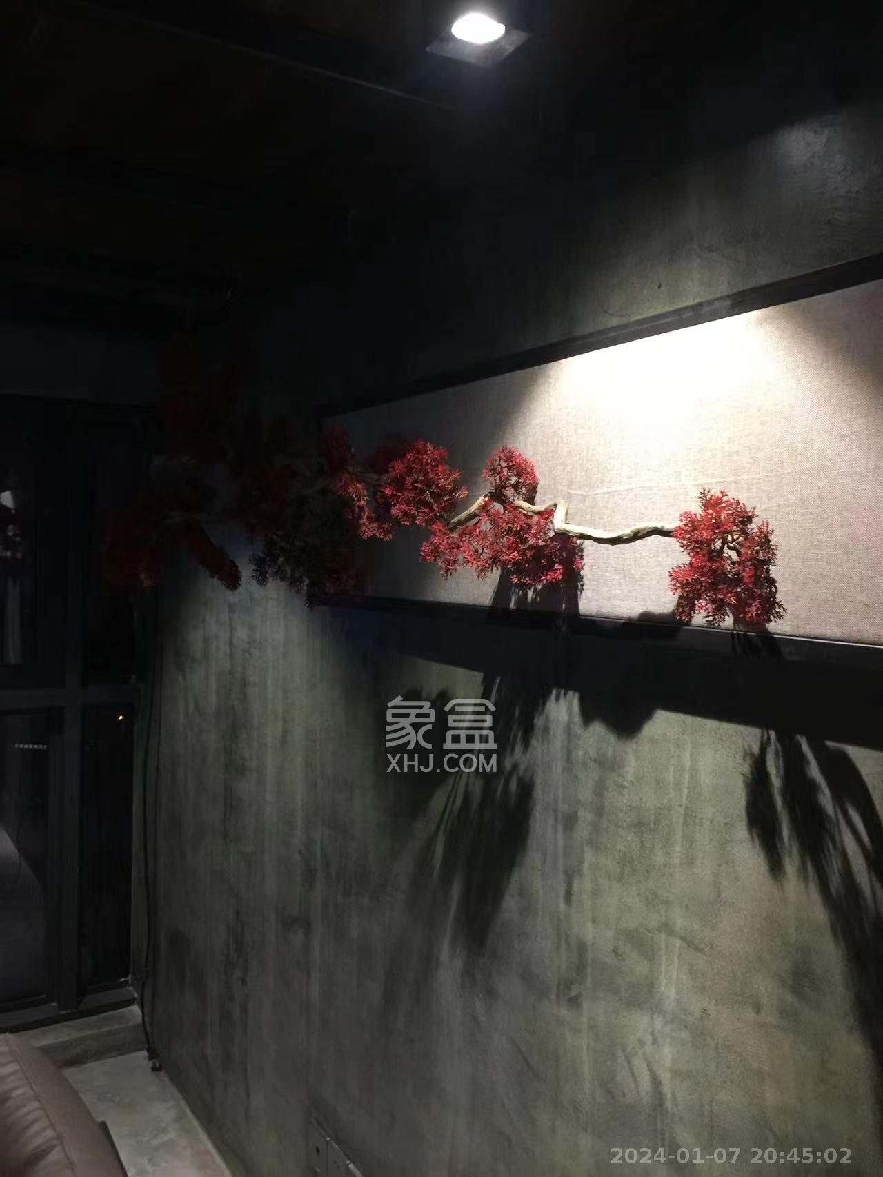 大汉海派   50.0㎡      8000.0元/月室内图