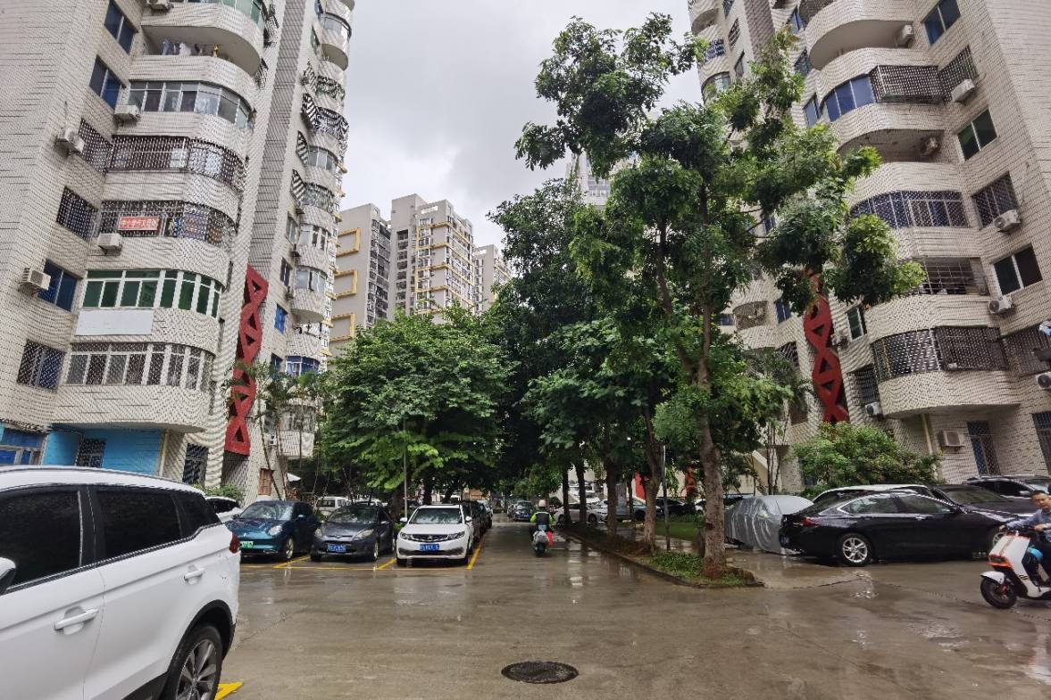 城中城  3室2厅1卫    140.0万小区图