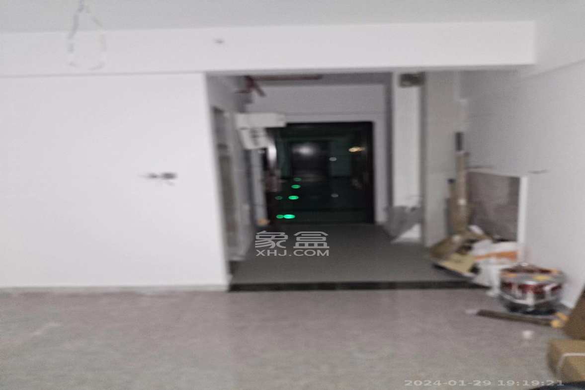 碧桂园印象  1室1厅1卫    800.0元/月室内图1