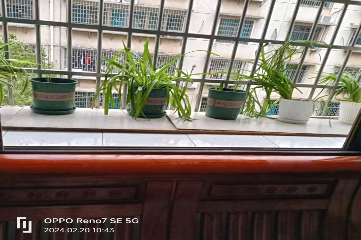 佳宏小区 3室1厅1卫 800.0元/月 佳宏小区 3室1厅1卫 800.0元/月室内图