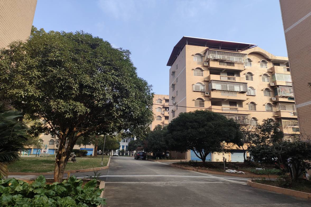 广电中心家属楼 4室2厅2卫 52.0万 广电中心家属楼 4室2厅2卫 52.0万其他