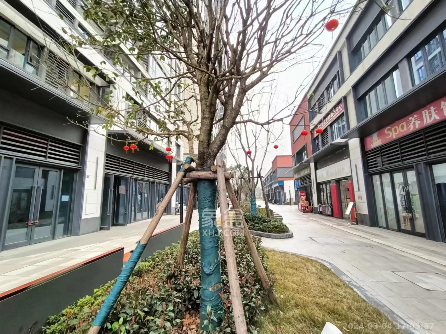 中海麓山境北区   26.05㎡      4000.0元/月室内图