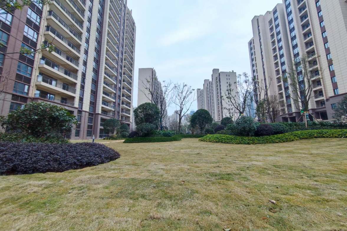 碧桂园翘楚棠  1室1厅1卫    900.0元/月小区图