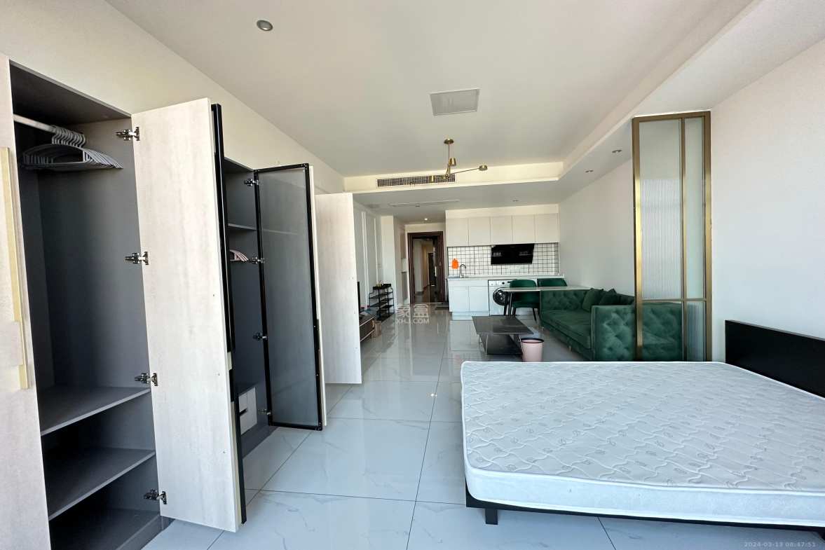 公园9号大都会  1室1厅1卫    2900.0元/月室内图