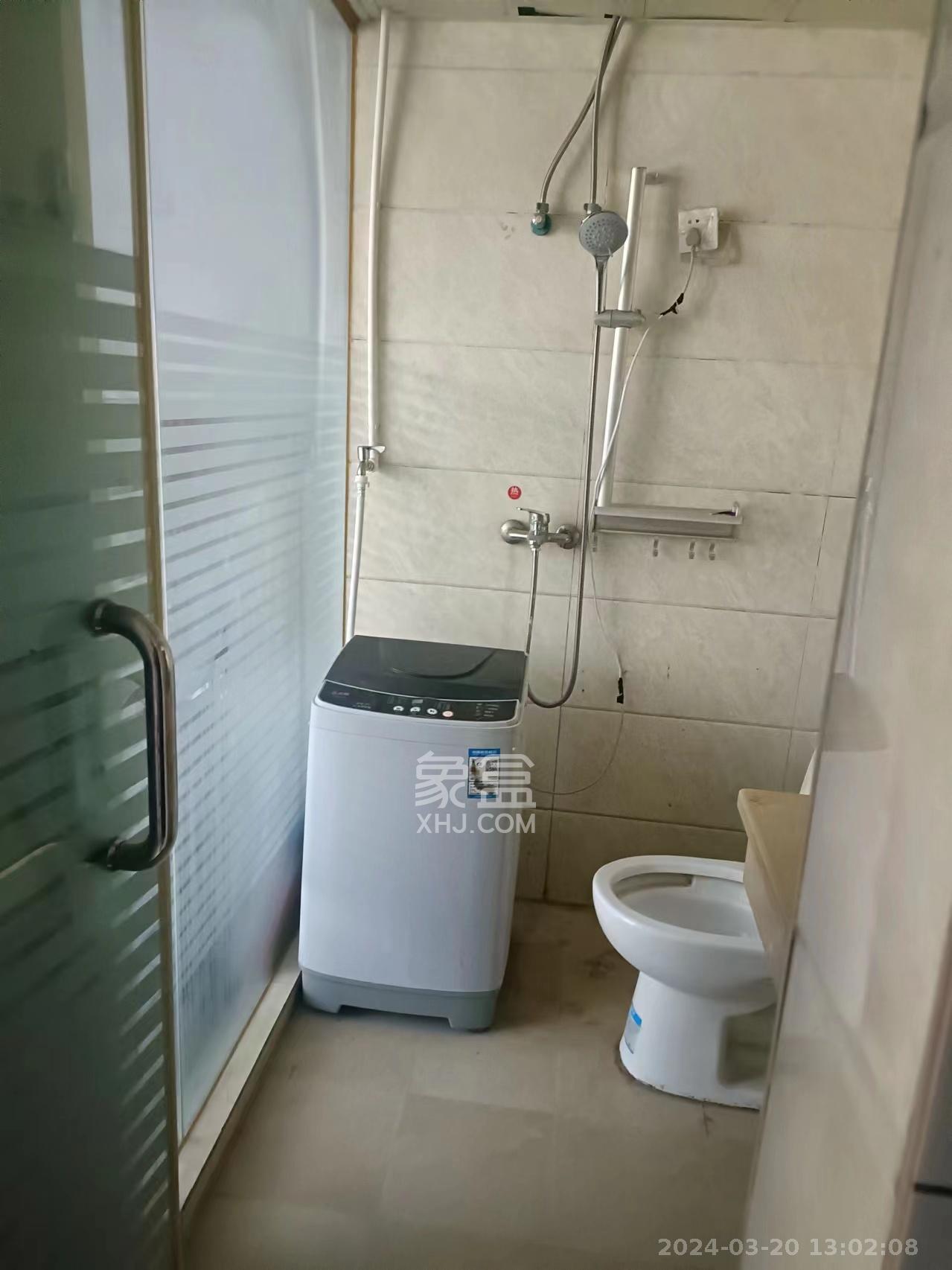 先锋新宇   28.0㎡      800.0元/月室内图