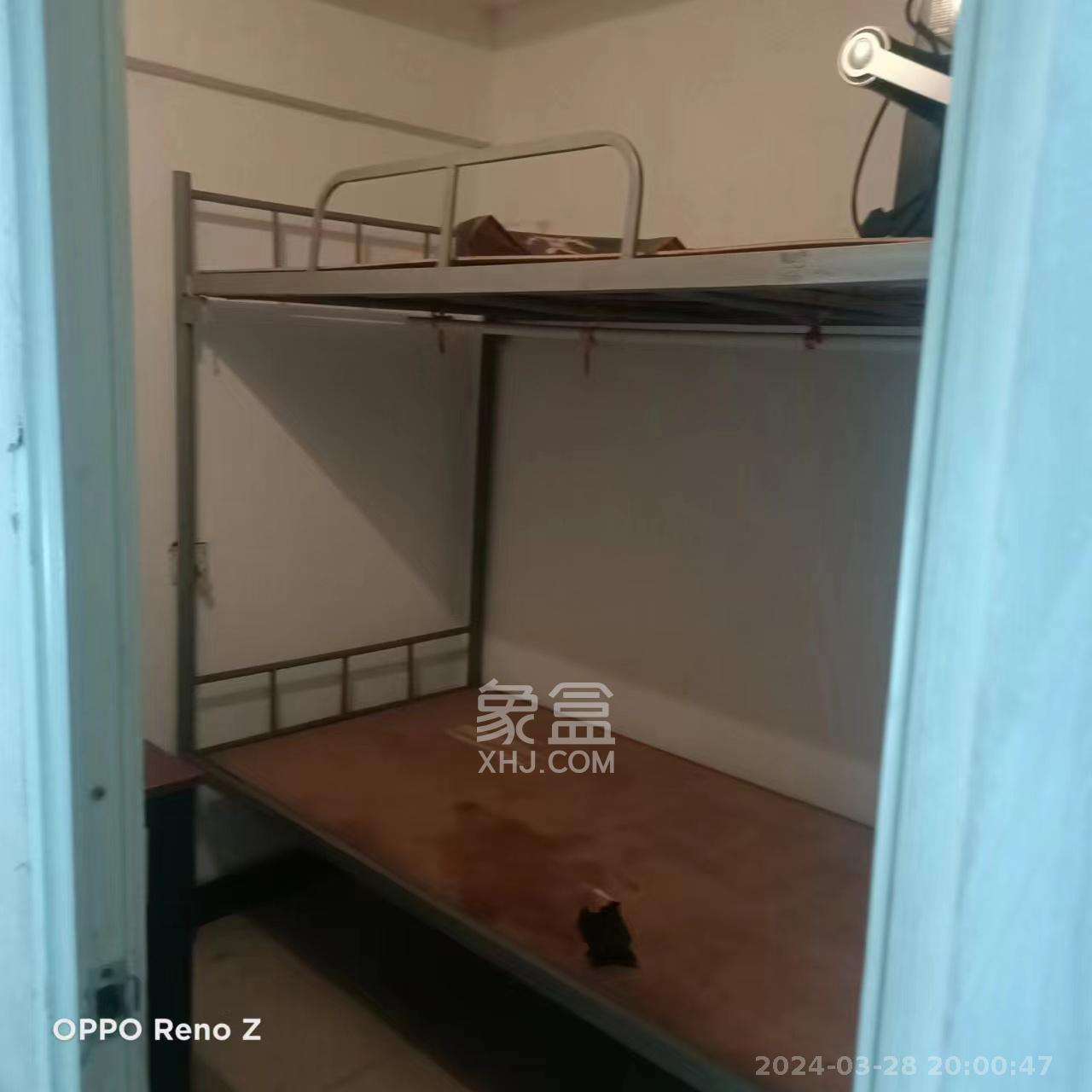 中南汽车世界   22.0㎡      2000.0元/月室内图