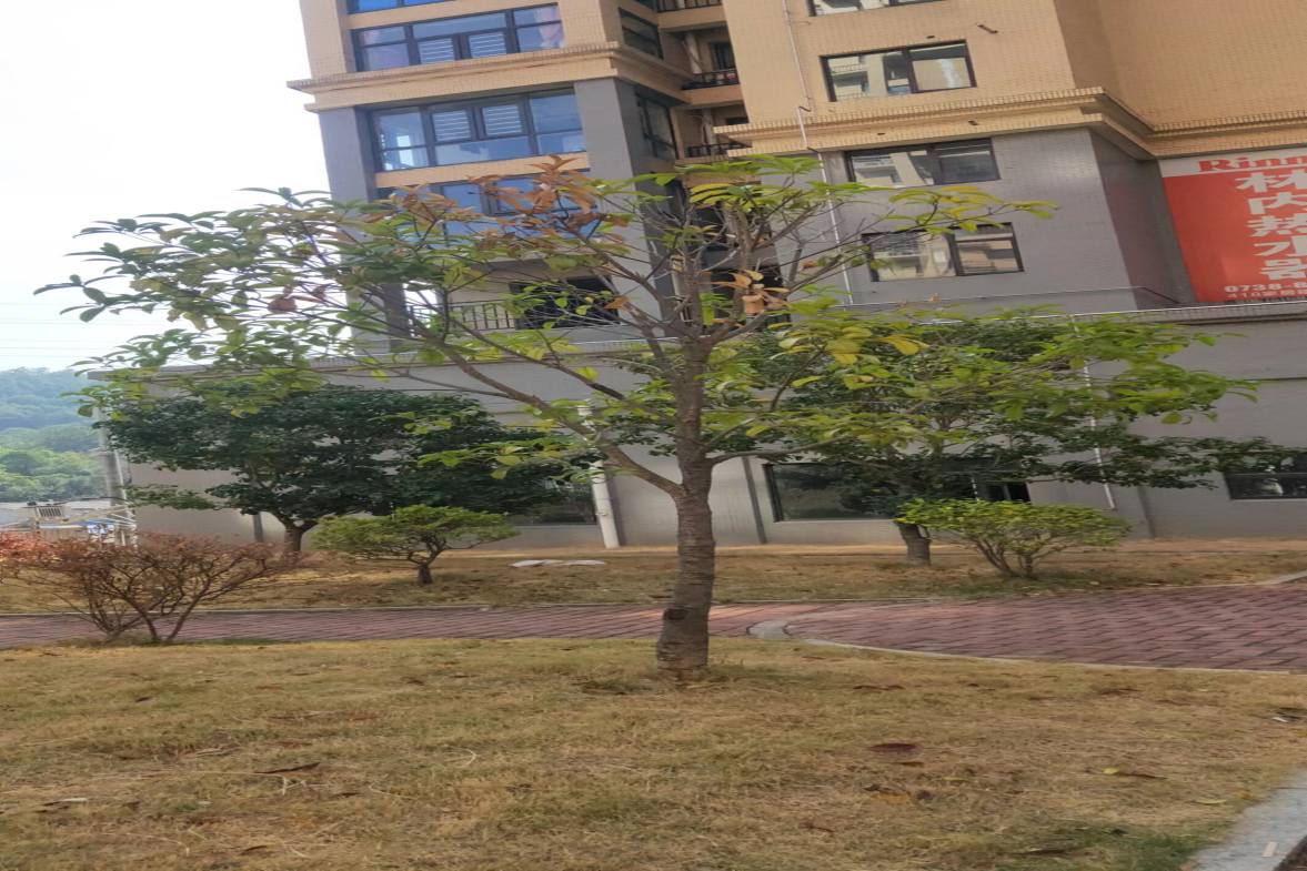 富怡康苑  2室2厅2卫    56.8万室内图1