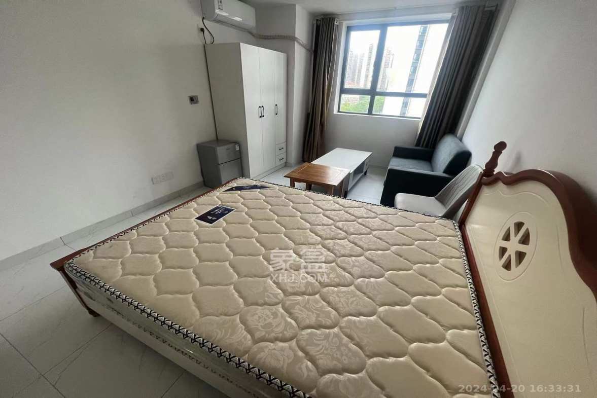 洋湖时代  1室1厅1卫   1000.00元/月室内图