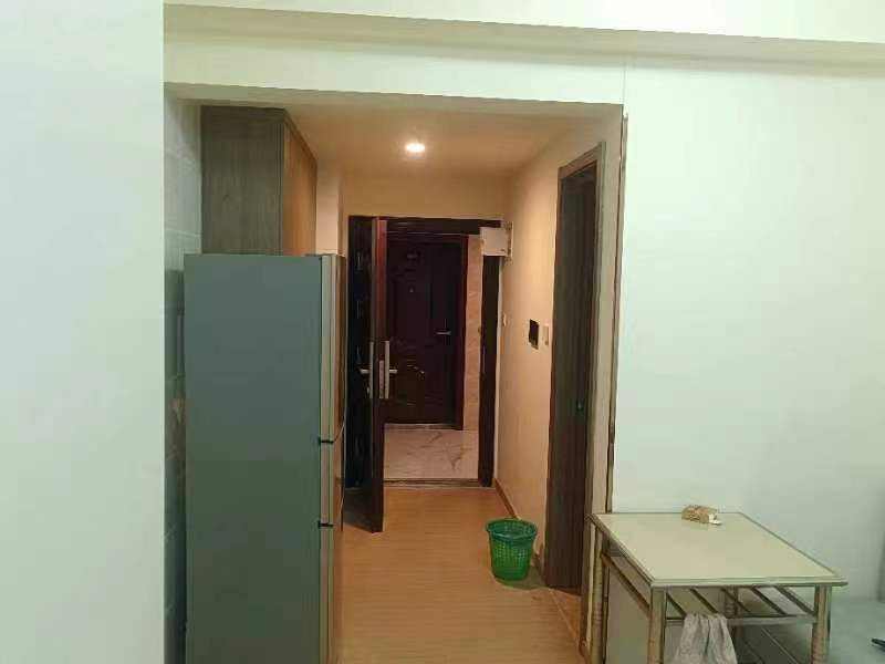 碧桂园翘楚棠  1室1厅1卫    1000.0元/月室内图