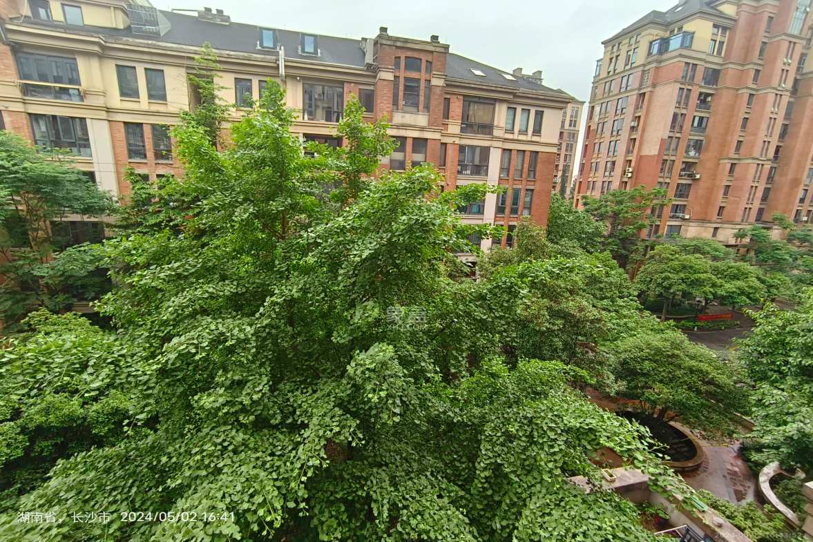 绿城桂花城  0室0厅0卫    2800.0元/月室内图