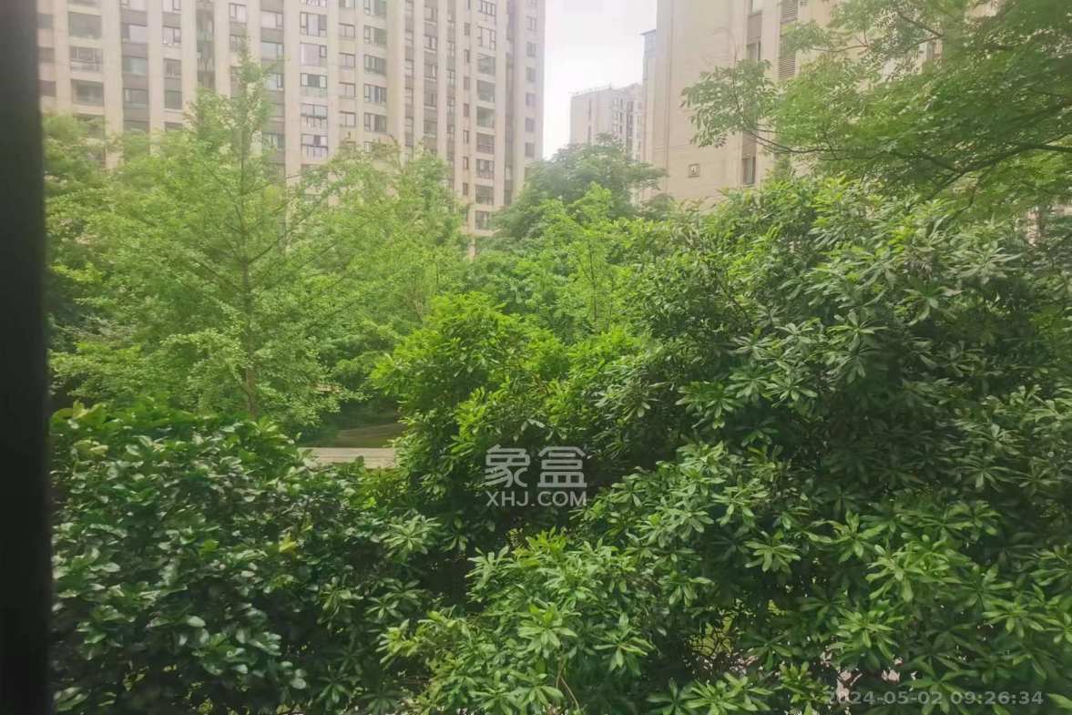 金茂梅溪湖  3室2厅1卫   2600.00元/月室内图