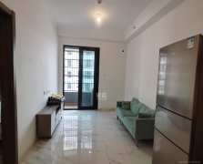 碧桂园星荟  1室1厅1卫    1500.0元/月