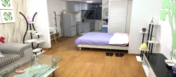 财智公馆大厦（瑞士国际酒店）  1室1厅1卫   1100.00元/月