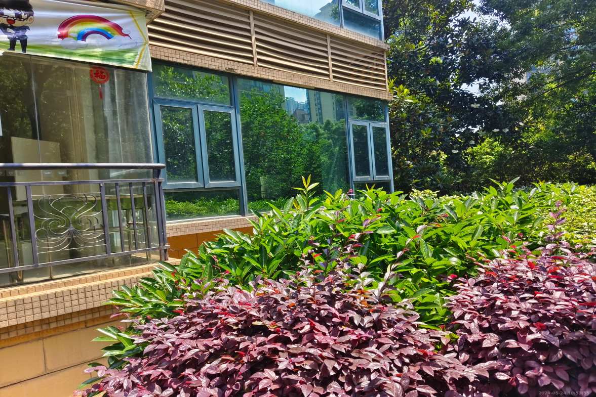 恒大绿洲 4室2厅2卫 11000.0元/月 恒大绿洲 4室2厅2卫 11000.0元/月室内图