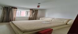 东城名苑  4室2厅1卫   1800.00元/月