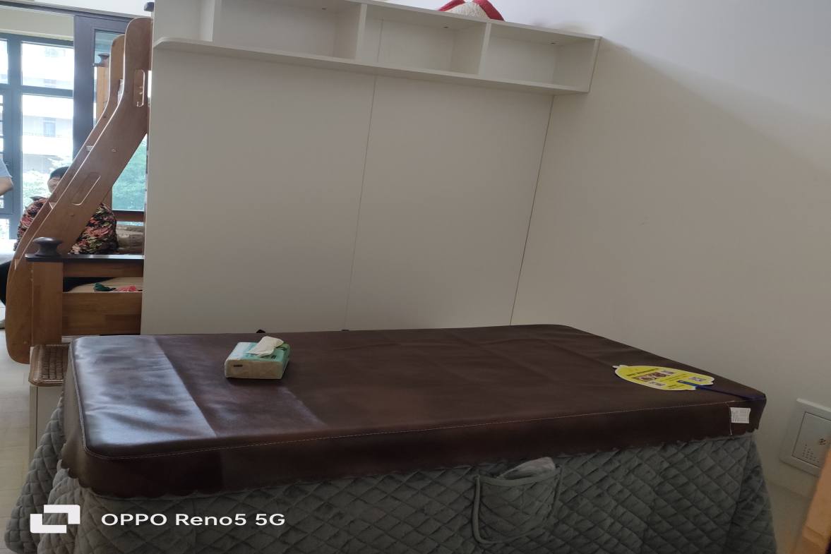 碧桂园翘楚棠  1室1厅1卫    1000.0元/月室内图