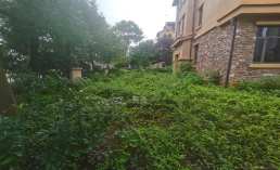 金奥湘江公馆  4室2厅3卫    180.0万