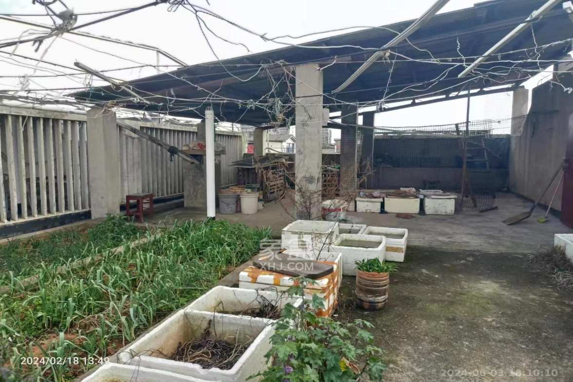大同花苑  3室2厅1卫   1400.00元/月室内图