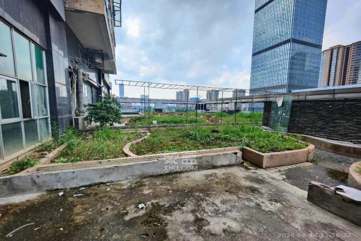 至雅大厦  5室2厅1卫    30000.0元/月 至雅大厦  5室2厅1卫    30000.0元/月室内图