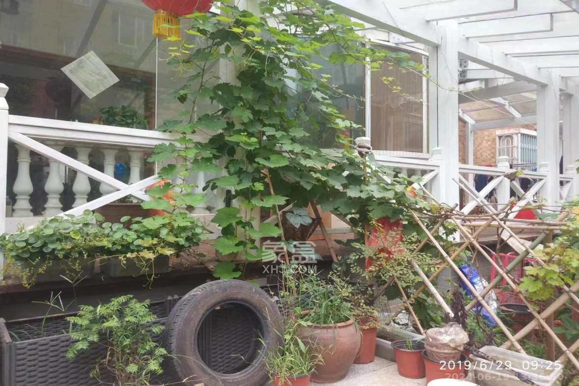 同升湖白竹水乡  1室2厅1卫   2800.00元/月室内图