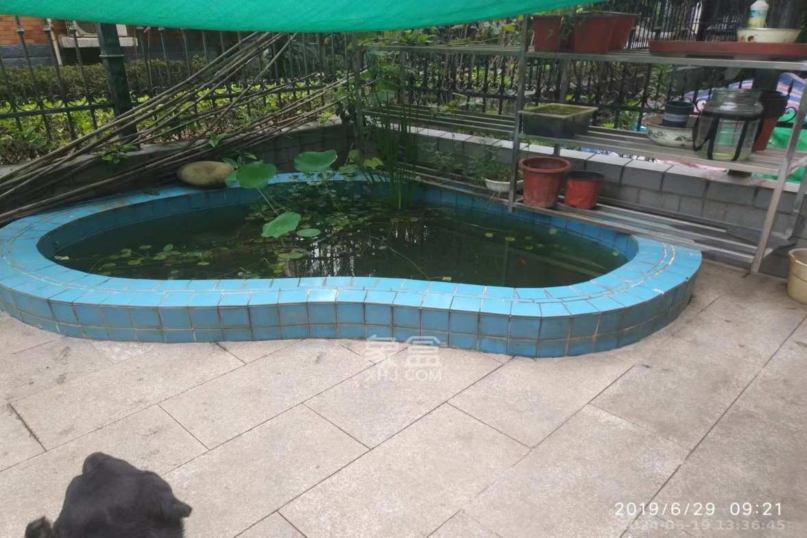 同升湖白竹水乡  1室2厅1卫   2800.00元/月室内图