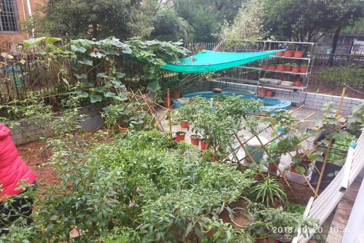 同升湖白竹水乡  1室2厅1卫   2800.00元/月室内图