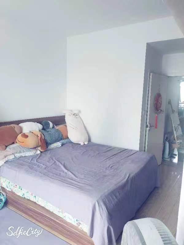 都市村庄  3室2厅2卫    64.0万