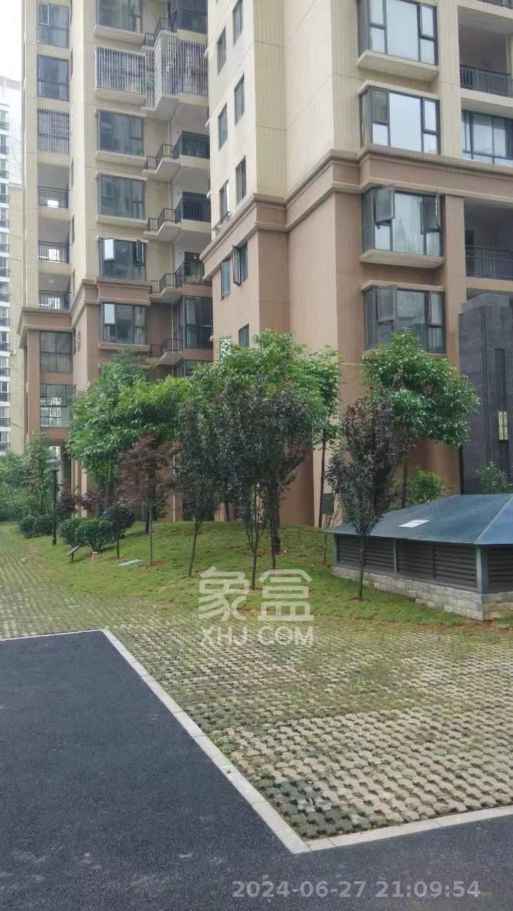 大鸿杰座  1室1厅1卫    2800.0元/月