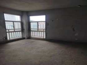 棠湖城市场广场  3室2厅2卫    85.8万