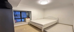 宇建国贸城  2室2厅1卫   115.00万