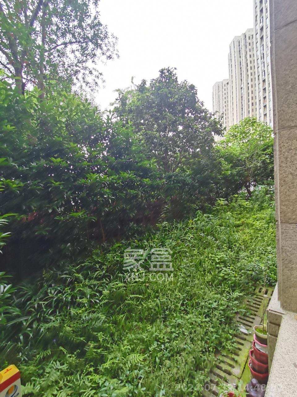 金茂梅溪湖  4室2厅2卫   4600.00元/月室内图