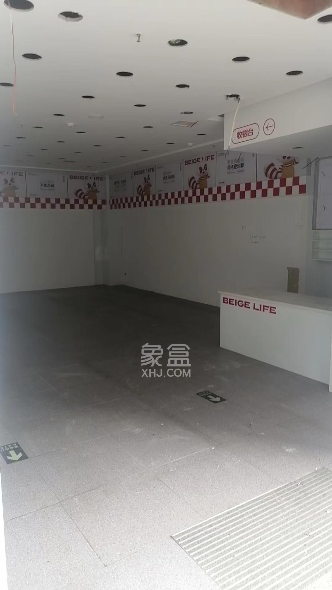 金茂建发泊悦   52.33㎡      7300.0元/月