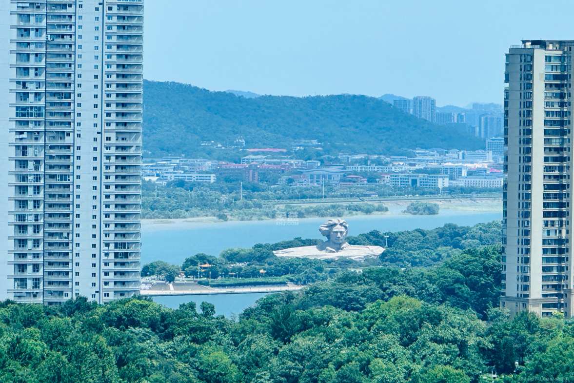 新力铂园（江山云著）  1室0厅0卫   1700.00元/月室内图