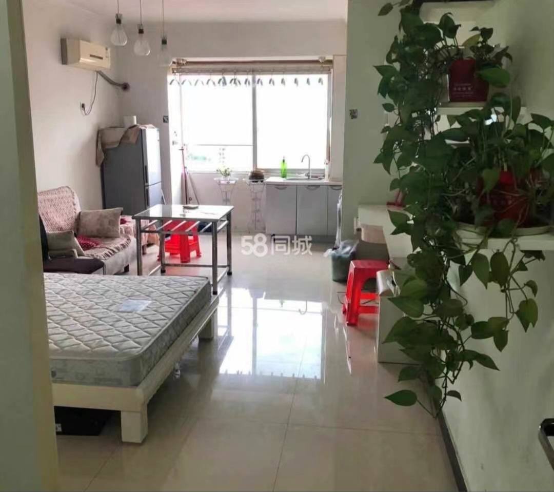 星海名都  1室1厅1卫    800.0元/月室内图