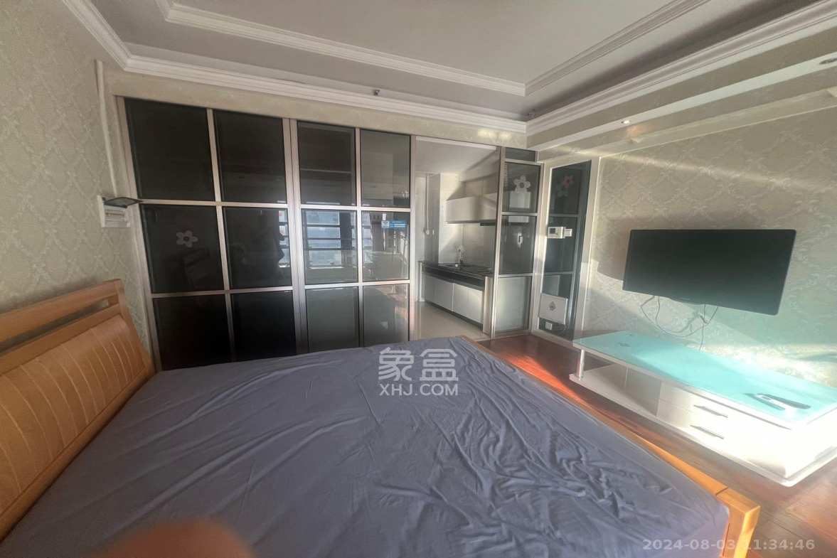 壹号公馆  1室1厅1卫    3000.0元/月室内图1