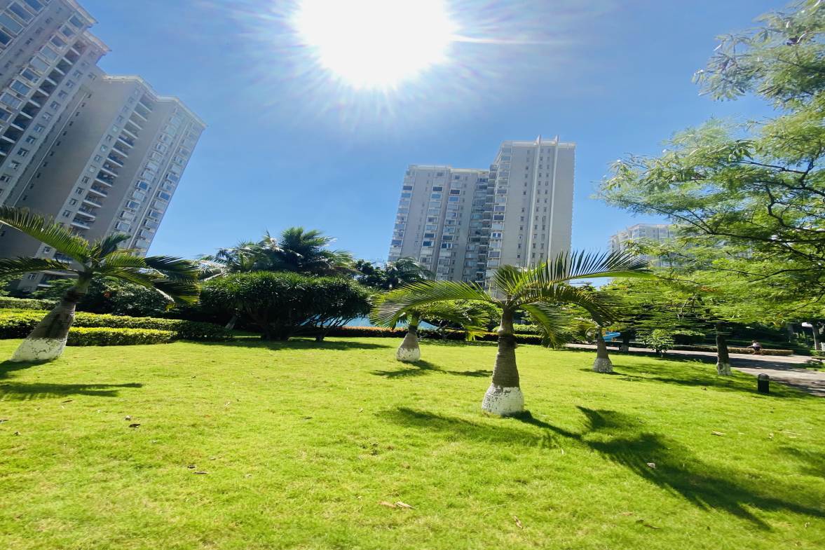 紫荆花园一期  3室2厅2卫   200.00万客厅