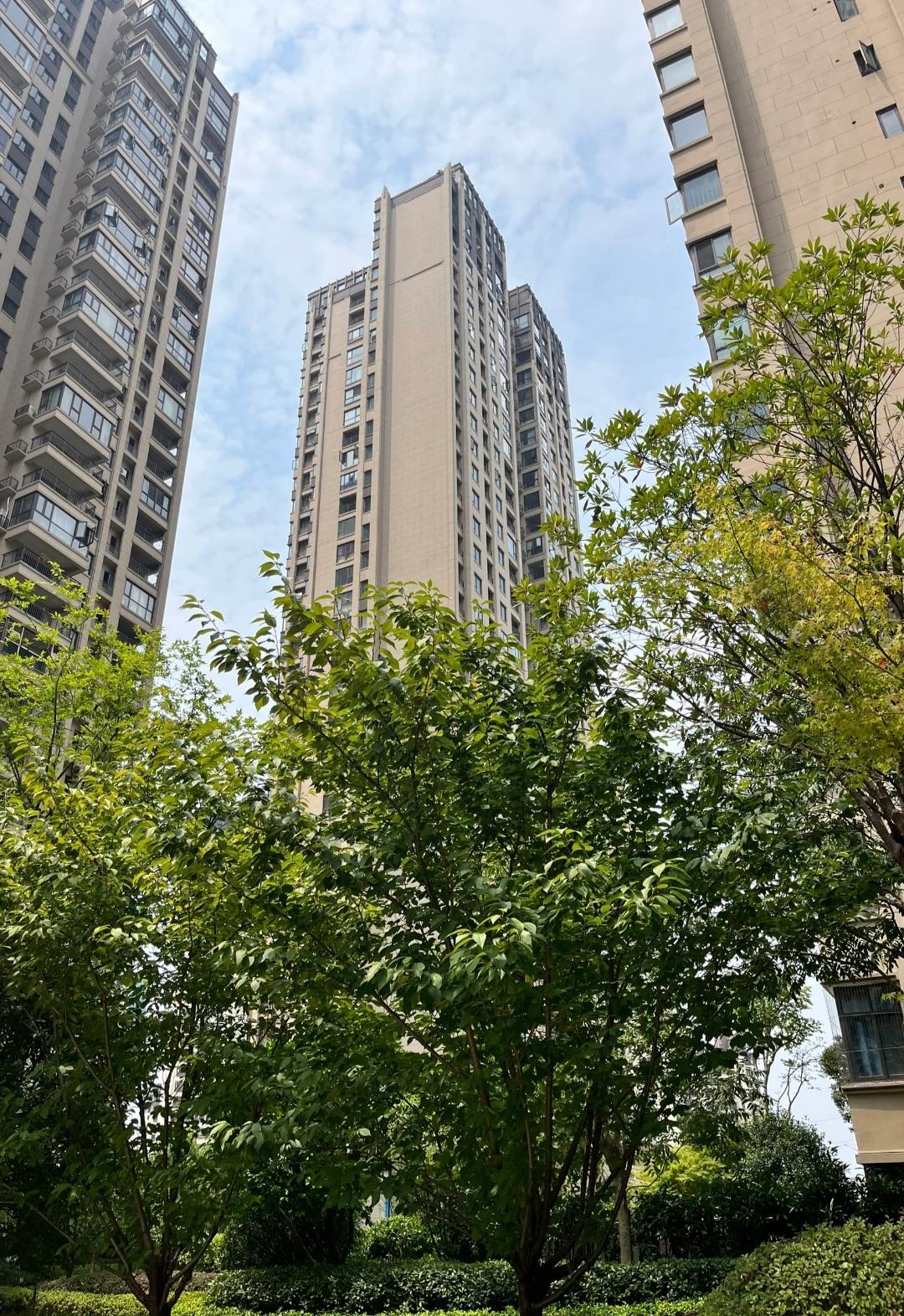 美的梧桐庄园  3室2厅1卫   60.00万室内图1