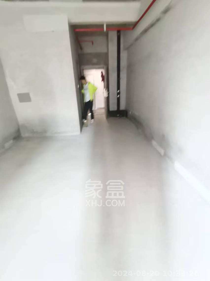 中建宝铂公馆  1室1厅1卫   2150.00元/月室内图