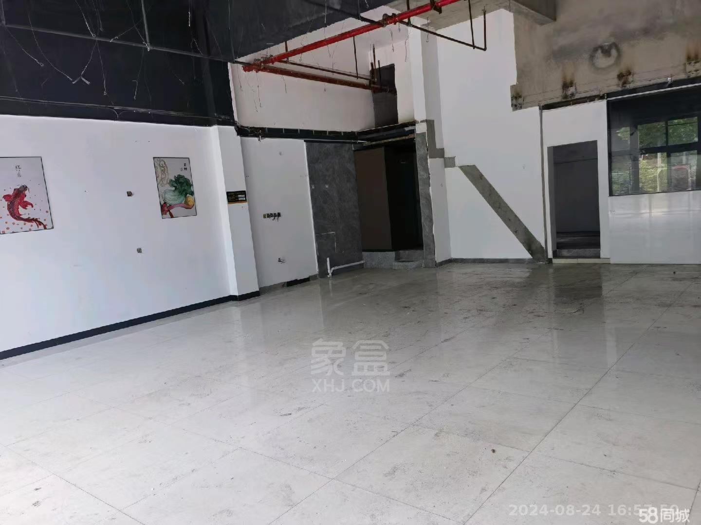 碧桂园  1室1厅1卫    3800.0元/月