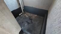 青春里-铂樾府  5室2厅2卫    104.0万