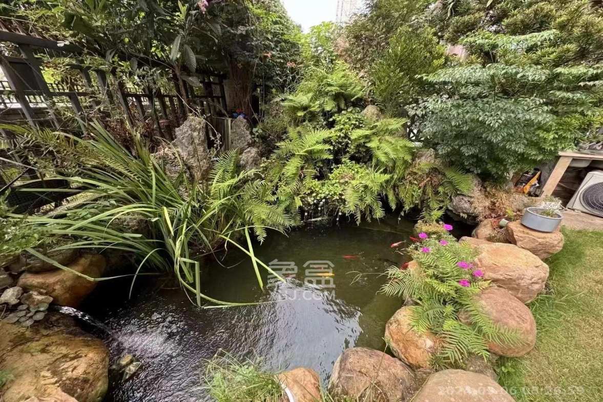 中海梅溪湖壹号  4室2厅3卫    12000.0元/月室内图