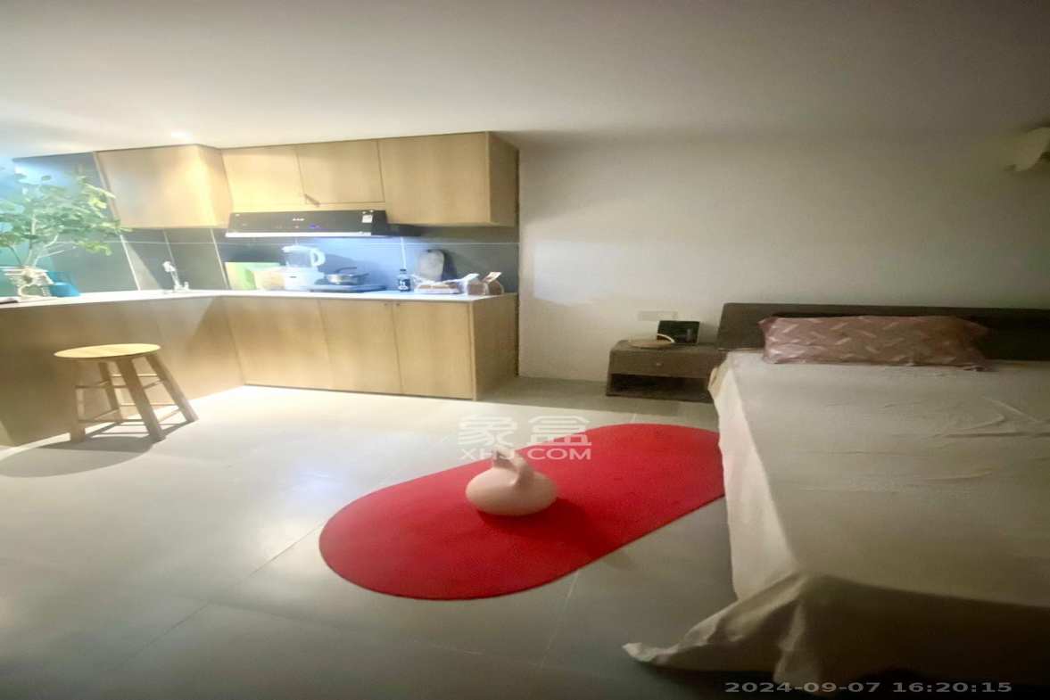 龙湖新壹城  1室0厅0卫   1300.00元/月室内图