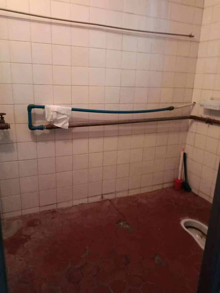 煤气公司家属楼  2室1厅1卫    700.0元/月室内图