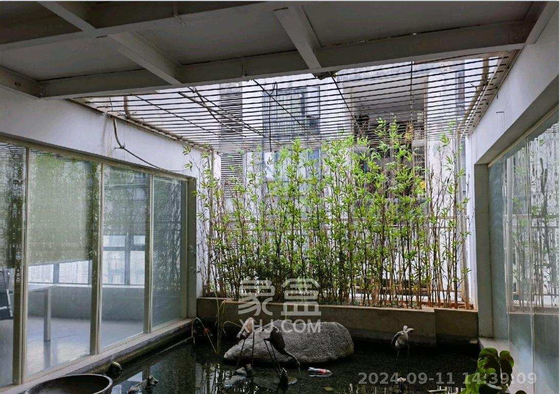 摩天一号  4室1厅1卫   13000.00元/月室内图
