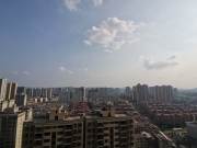 金御中央  1室0厅0卫    38.8万