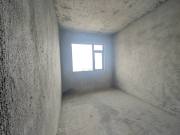 石化大院  3室2厅2卫    74.8万