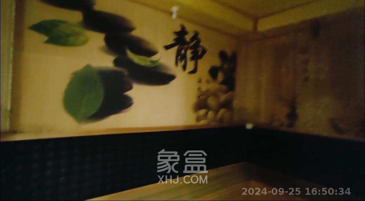 德思勤城市广场（宝格丽公寓）  1室1厅1卫   12000.00元/月室内图