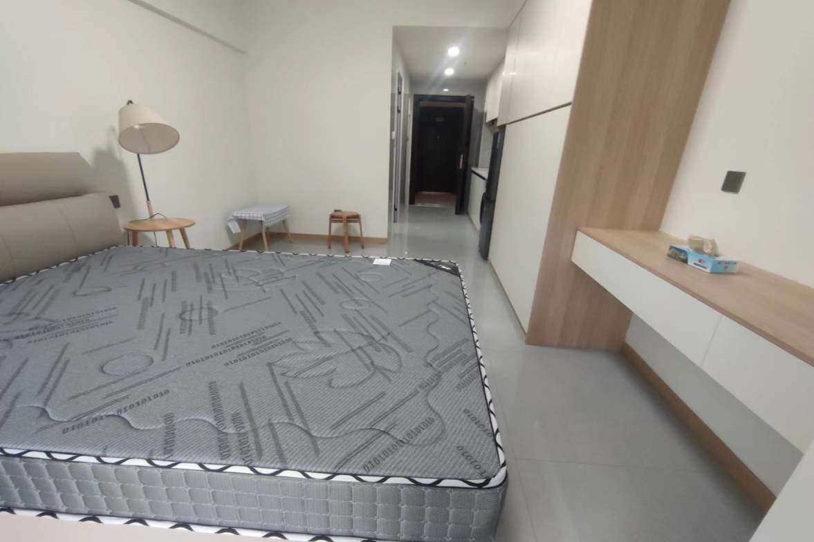 碧桂园壹中心  1室1厅1卫   1200.00元/月室内图